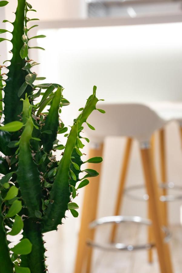 Beautiful Place In The Heart Of The City!!!! Apartment Plovdiv Luaran gambar